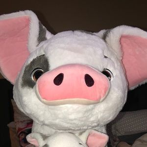 Meet your Posher, James